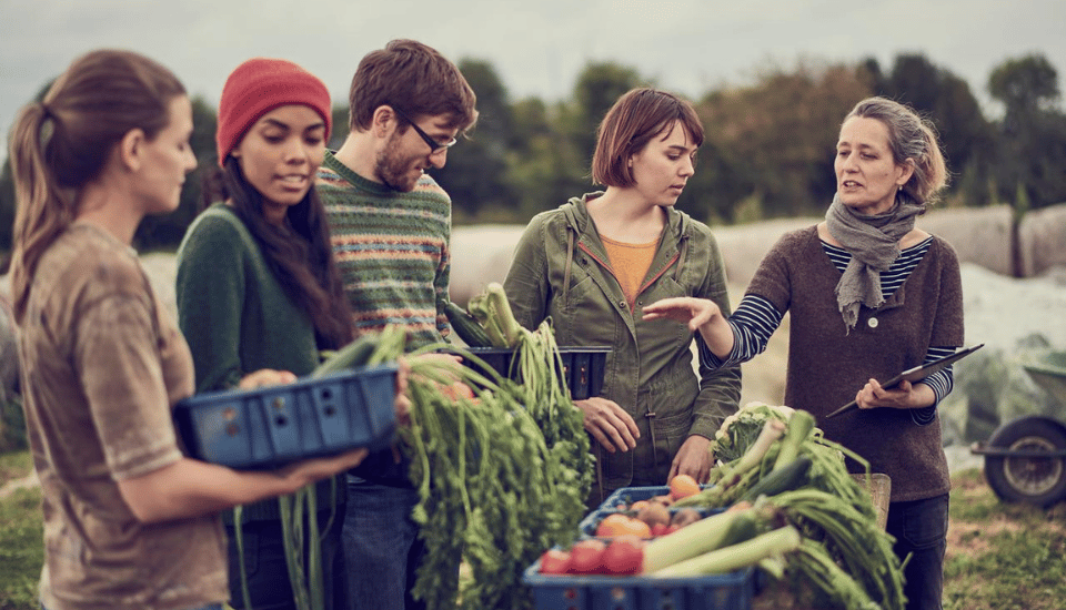 People farming a community garden