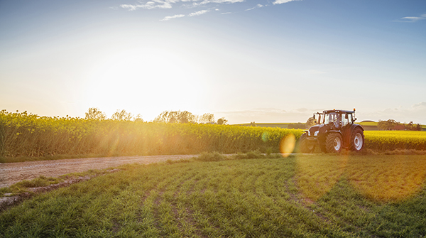 We all have a role to play in shaping farming's future - RSA