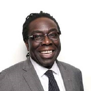 Picture of Lord Victor Adebowale